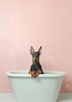 süß Dobermann Hund im ein klein Badewanne mit Seife Schaum und Blasen, süß Pastell- Farben, generativ ai. foto