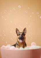 süß Deutsche Schäfer Hund im ein klein Badewanne mit Seife Schaum und Blasen, süß Pastell- Farben, generativ ai. foto