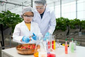 im das geschlossen Erdbeere Garten, ein jung Wissenschaftler führt ein Erdbeere Nährstoff Produktion Experiment mit ihr Wissenschaft Klasse. foto