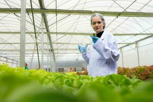 Wissenschaftler sind Dirigieren Forschung und Entwicklung auf das Anbau von organisch Gemüse im ein geschlossen Bauernhof. foto