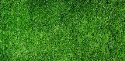 Grün Gras Feld zum Hintergrund, Land, Rasen, Oberfläche, natürlich Hintergrund und spielen Sport Spiel Bereich Konzept foto