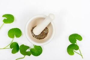 oben Aussicht auf Tabelle Centella asiatica Blätter mit isoliert auf Weiß Hintergrund foto