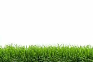 frisches grünes Gras lokalisiert auf weißem Hintergrund foto