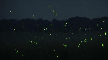 Glühwürmchen und Gras beim Nacht ai generiert foto