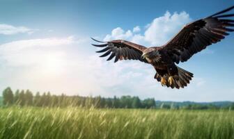 kahl Adler fliegend auf Grün Feld Blau Himmel Hintergrund. generativ ai foto