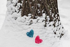 zwei Rattanherzen rosa und blau auf einem schneebedeckten Baumstamm. das konzept des valentinstag foto