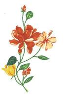 Jahrgang Pfingstrose und Hibiskus Hand gemalt Blume foto