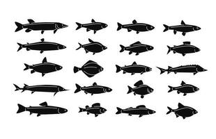 Fisch Symbol Silhouetten. Fische schwarz Vektor Symbole . Angeln Konzept Symbole Sammlung.Tiere isoliert . foto
