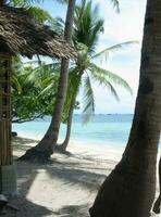 Weiß Sand Strand im Santa zB bantayan Insel Cebu Philippinen Foto