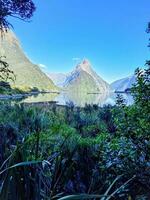 Milford Klang, Südland, Neu Neuseeland foto