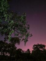 Eungella Damm, Queensland, Australien foto