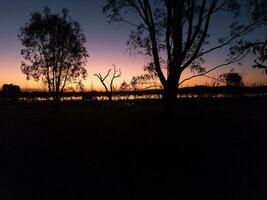 winton Feuchtgebiete, Viktoria, Australien foto