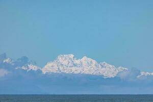 Graumaul, Westen Küste Neu Neuseeland foto