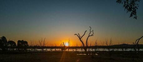 winton Feuchtgebiete, Viktoria, Australien foto