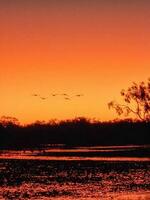 Leichhardt Lagune, Queensland Australien foto