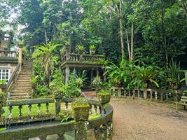 paronella Park, Queensland Australien foto