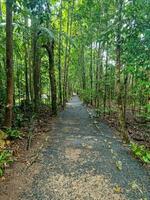 paronella Park, Queensland Australien foto