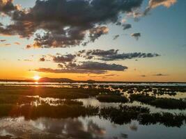 Wunjunga Feuchtgebiete, Queensland Australien foto