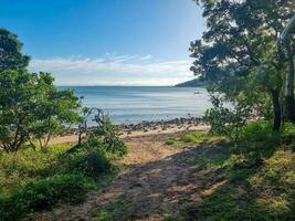 Kap Hillsborough, Queensland Australien foto