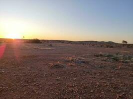 australisch Outback Wildnis foto