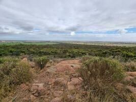 australisch Outback Wildnis foto