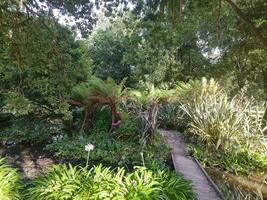 Buninyong botanisch Gardens, Victoria Australien foto