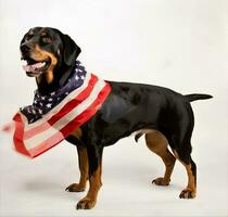 Hund im das Hintergrund von das amerikanisch Flagge. amerikanisch Flagge auf Unabhängigkeit Tag. das Konzept von Amerika. Flagge Tag im das vereinigt Zustände von Amerika. erstellt mit generativ ai Technologie. foto