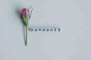 Hormone Wortwürfel auf weißem Hintergrund foto