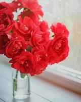 Strauß roter Rosen auf dem Hintergrund des Fensters foto