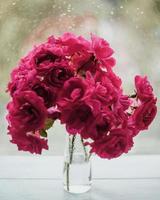 Strauß roter Rosen auf dem Hintergrund des Fensters foto