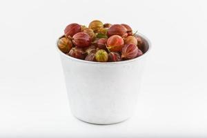 Stachelbeer-Rohfrüchte aus dem Biogarten Sommergeschmack