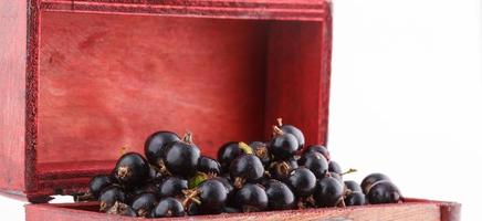 schwarze Johannisbeere, Beeren aus dem gesunden Biogarten Sommer schmecken nach Wildfrüchten foto