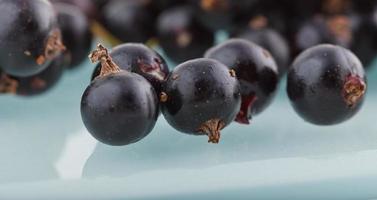 schwarze Johannisbeere, Beeren aus dem gesunden Biogarten Sommer schmecken nach Wildfrüchten foto