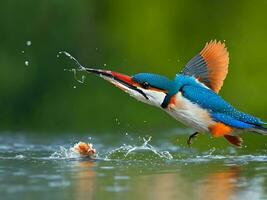 männlich Eisvogel entstehenden von das Wasser fangen Fisch von ein moosig Barsch generiert durch ai foto