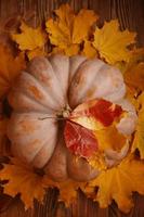 orangefarbener großer Kürbis auf bunten Herbstblättern. foto