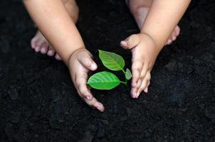 Baum-Bäumchen-Baby-Hand auf dem dunklen Boden, das Konzept implantierte das Bewusstsein der Kinder in die Umwelt