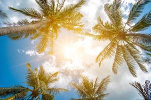 Kokospalmen und Sonne mit Wolken über dem Himmel. Sommer Konzept.