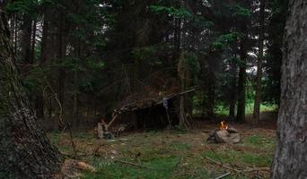 Unterschlupf im Wald foto