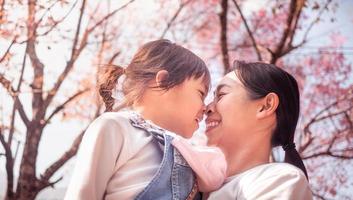 glückliche Mutter und ihre süße kleine Tochter berühren ihre Nasen und lächeln im Frühling auf Sakura-Bäumen im Park.