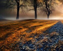 nebelig Herbst Wald beim Dämmerung mit Sonnenlicht reflektieren auf Bäume und neblig Landschaft, ai generiert foto