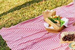 Picknick Mittagessen Mahlzeit draußen Park mit Essen Picknick Korb. genießen Picknick Zeit im Park Natur draussen foto