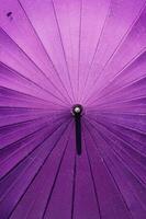 japanisch Regenschirm mit Sakura Muster. wann bekommen nass, Muster werden erscheinen. foto