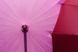 japanisch Regenschirm mit Sakura Muster. wann bekommen nass, Muster werden erscheinen. foto