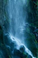 iguazu Stürze auf das Rand zwischen Argentinien und Brasilien mit schön Regenbögen und viele von Vegetation und viele von Wasser fallen Nieder Sie foto