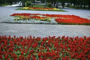 Blume Betten im das Denkmal Park. schön Park Blumen. foto