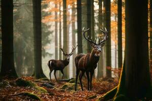 wild Hirsch im ein Wald erstellt mit generativ ai Technologie. foto