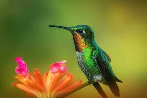 Porträt von ein Grün Kolibri auf ein Blume erstellt mit generativ ai Technologie. foto