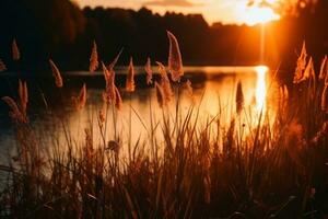 schön Schilf Gras durch ein See beim Sonnenuntergang erstellt mit generativ ai Technologie. foto