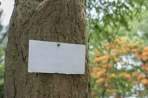 Baum Kofferraum welche hat leer Karton geklebt auf das bellen, Konzept zum Umgebung lernen, Natur lernen, Berufung aus alle Menschen zu Respekt Umgebung und beitreten Welt Umgebung Tag Kampagne. foto