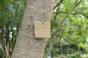 Baum Kofferraum welche hat leer Karton geklebt auf das bellen, Konzept zum Umgebung lernen, Natur lernen, Berufung aus alle Menschen zu Respekt Umgebung und beitreten Welt Umgebung Tag Kampagne. foto